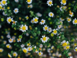 「汚いこと言っちゃだめだよ」と友人に言われたけど、生理は汚いの？