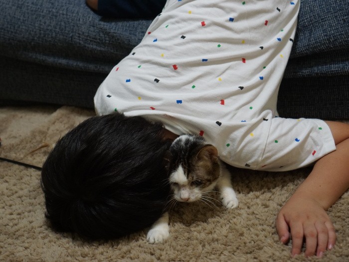 「つぶしたら、にゃん返しだ」