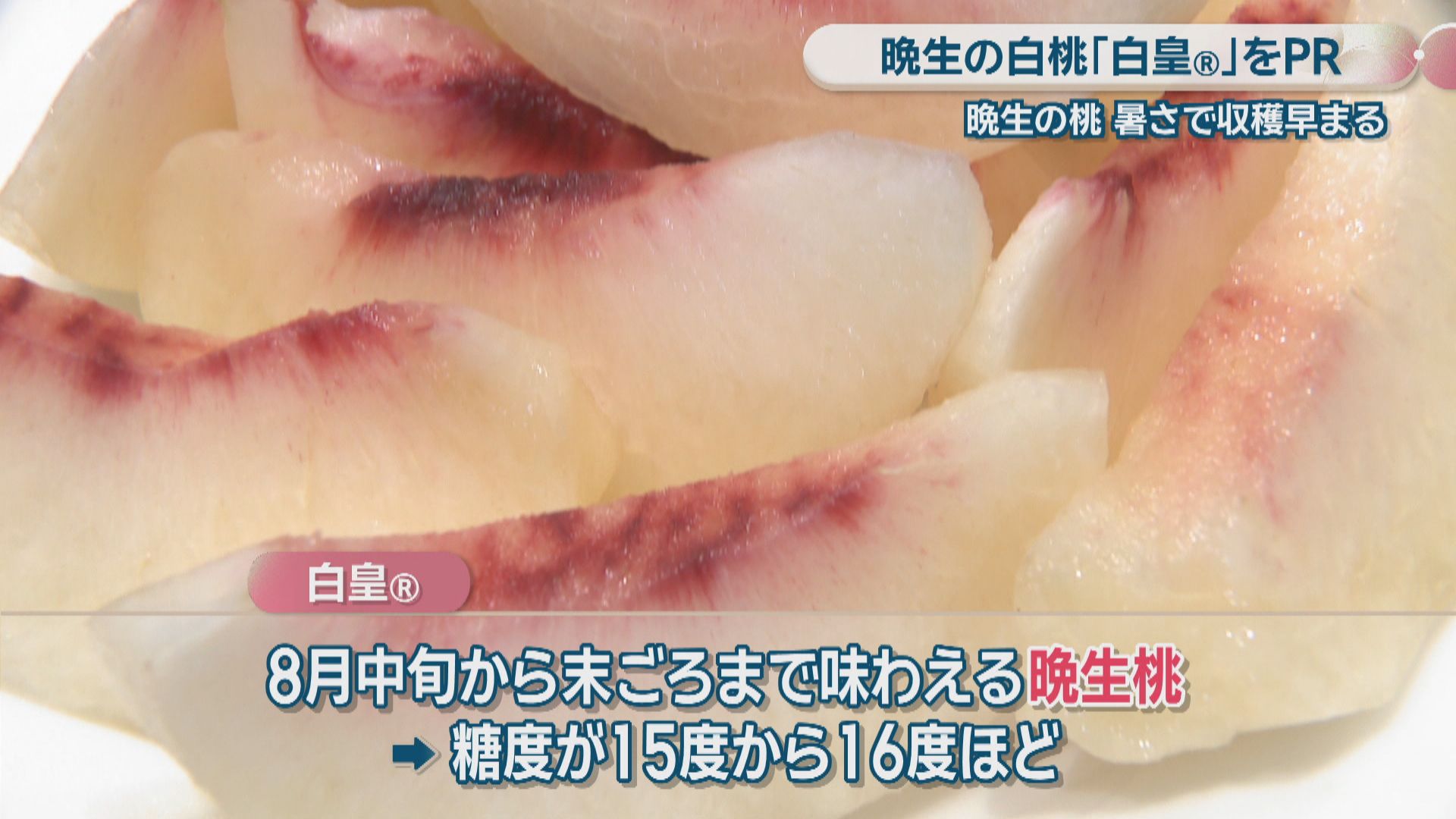⭐️Sternschnuppe☆彡様★専用出品★岡山県産【白皇】4キロ満杯 県オリジナル品種の白桃「白皇Ⓡ」 生産者らが岡山市長を表敬訪問 晩生