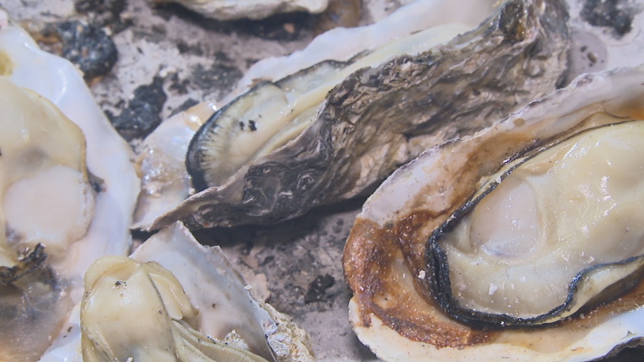 プリップリですっごくジューシー 旬のカキをたくさん食べて 香川 さぬき市志度 Ksbニュース Ksb瀬戸内海放送