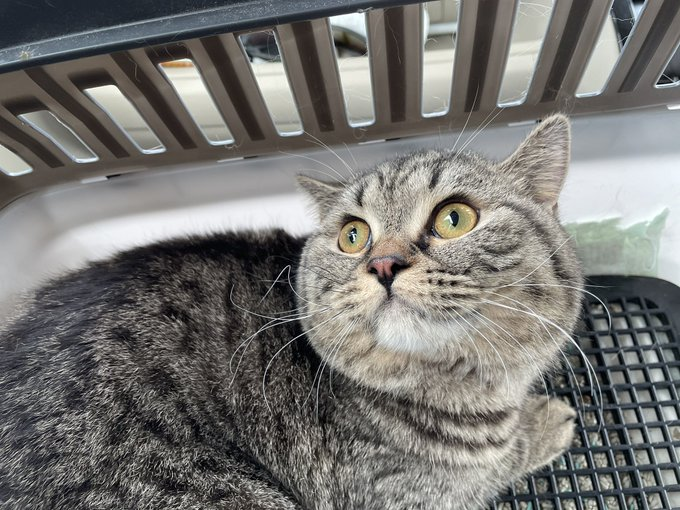 思わぬ病名が発覚してショック…