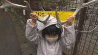 池田動物園の「無料開放デー」に多くの親子連れ