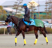 セイウンハーデス