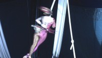 木下大サーカス