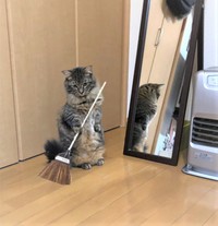 おそうじありがとう！（提供写真）