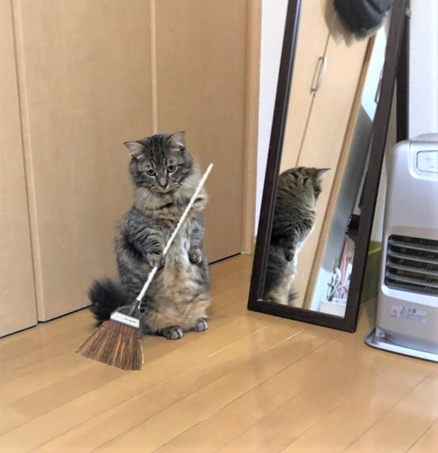 おそうじありがとう！（提供写真）