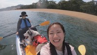 愛犬と一緒にシーカヤック