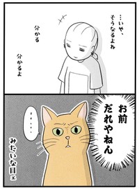 【漫画】『ネコと暮らした9日間』9（イゴカオリさん提供）