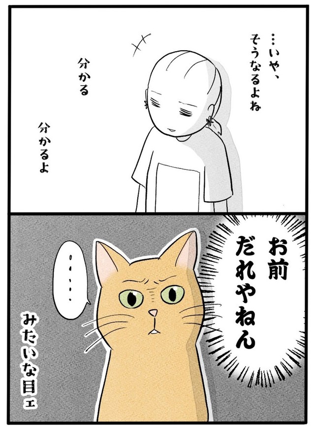 【漫画】『ネコと暮らした9日間』9（イゴカオリさん提供）