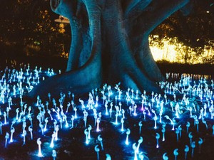 魔法使いさんとの出会いのおかげで、私はもう一度「私」を始められた