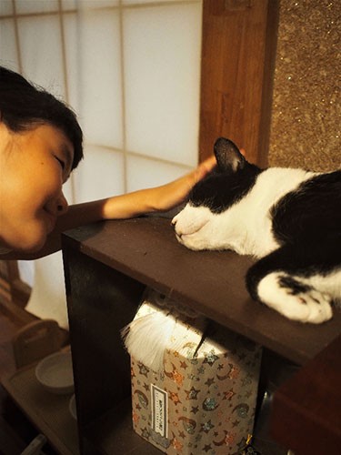 「きのこ、はなによくしてくれてありがとうね」