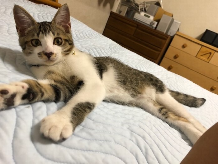 ベッドでゴロゴロ