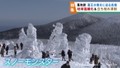 蔵王の樹氷