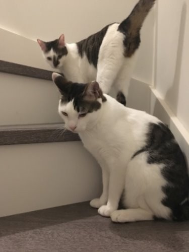 階段で遊んでいます