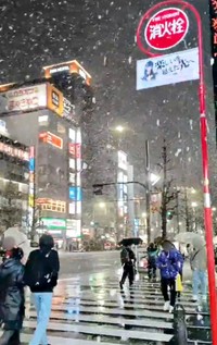 台湾では平地で雪は見られないそう。人生初の雪を撮影した海翼さん（画像提供：海翼（カイ ヨク）さん）