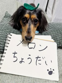 ピノくんの心の声「メロンちょうだい」（画像提供：ピノさん）