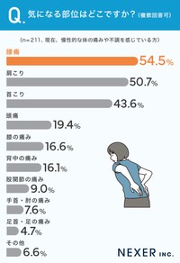 「体の慢性的な痛みとの付き合い方」についてのアンケート