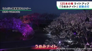 １５日から梅のライトアップイベント　せんだい農業園芸センター