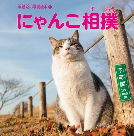 沖昌之のにゃんこ相撲（下町編）（大空出版提供）