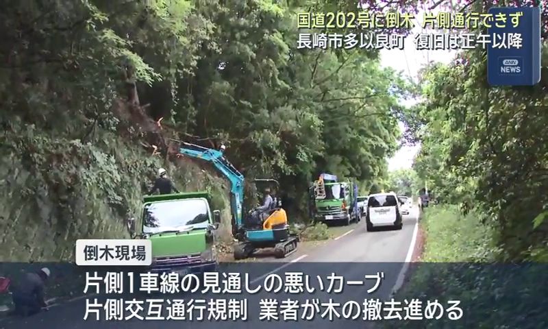 長崎市多以良町の国道202号に倒木 片側通行できず 復旧は正午以降(1