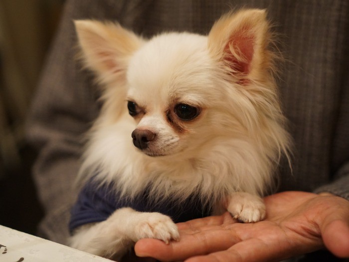 かぼすくん、その手を離さないで