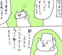 Kの「3度目の正直」にはある悩みが（猫田まんじまるさん提供）
