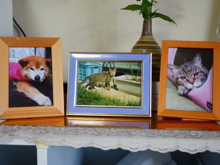 居間に飾られた歴代のペットの写真
