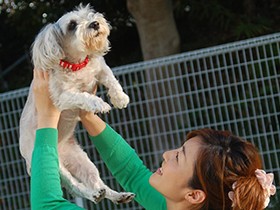 預かった保護犬を幸せな暮らしへ導くために
