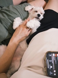 飼い主さんに挟まれて幸せそうに眠るほたてくん（提供：ほたてさん）