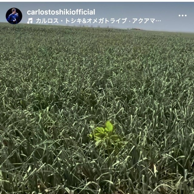 カルロス・トシキのインスタグラム＠carlostoshikiofficialより