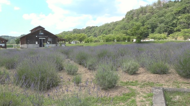 まきばの館（岡山・美咲町）