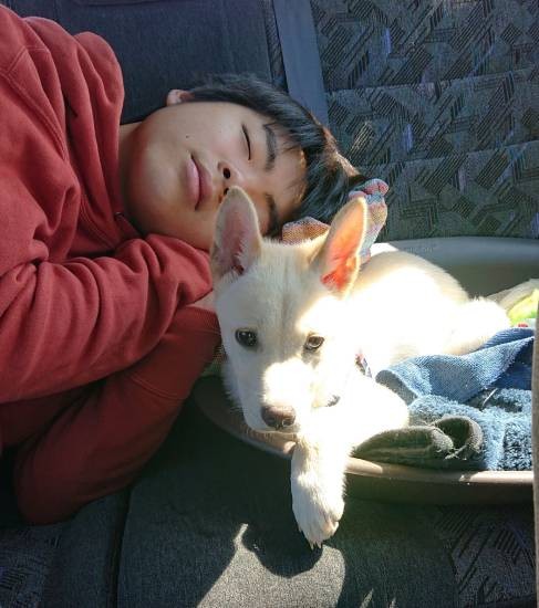 「見たことない穏やかな犬だな～」悠さんとまったり（鈴木先生提供）