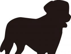 盲導犬連れ男性、駅で転落死　東京・銀座線