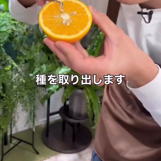 カットしたオレンジから種を取り出す／そらベジさん（@sora_gardenhack）提供