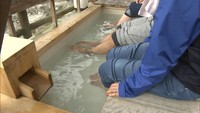 【解説】行基の湯リニューアルで塩江温泉郷のにぎわいは？香川最古の温泉郷の課題を探る