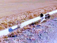 視線の先にはディークスくんの影がくっきり！（画像提供：A&Dさん）