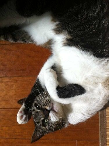 だんだんと心を許していった