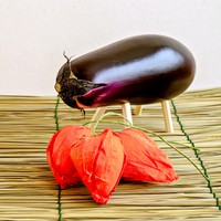 精霊牛とほおずき お盆飾り ※画像はイメージです（Banboole Photo Works:stock.adobe.com）
