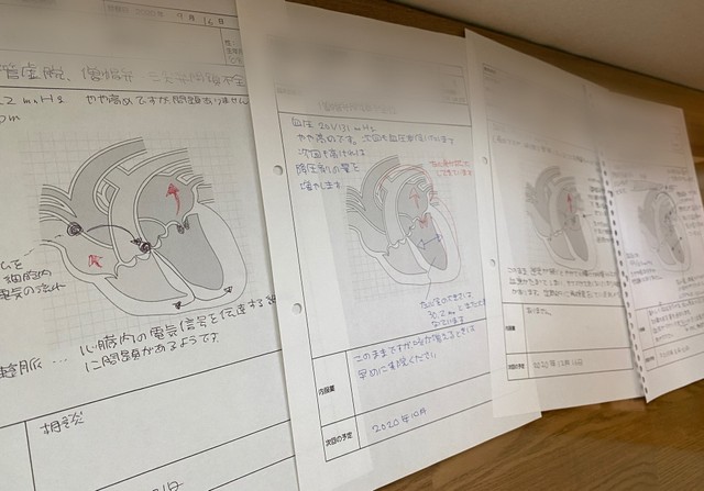 私が動物の心臓検査をした後は、このようなイラスト付きの検査結果をお渡しすることが多いのですが、Yさんは大切に保管してくださっているようです