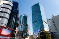渋谷の街並み※画像はイメージです（健太 上田/stock.adobe.com）