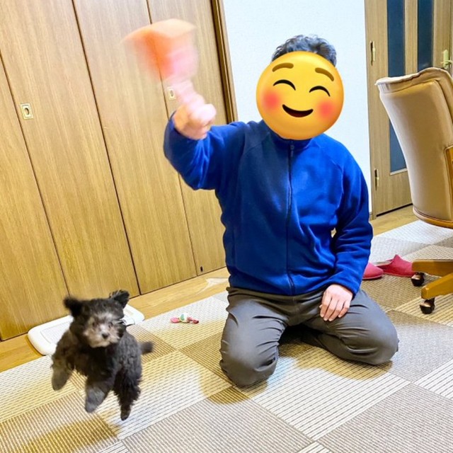 ベビ期、飼い主さんと遊ぶエマちゃん（画像提供：エマです！さん）