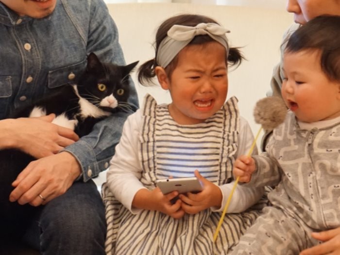 「なに泣いてるの？あー、ねこじゃらしなめちゃだめ」姉的サリー