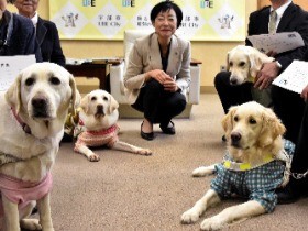 「私たちの大事な分身、存在を知って」　盲導犬４頭に特別住民票