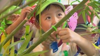幼稚園児が七夕飾りを体験