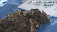 資料:カキ大量死