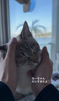 家族みんなから愛されているナナちゃん／江口 めぐみさん（am_nana77）提供