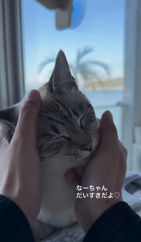 家族みんなから愛されているナナちゃん／江口 めぐみさん（am_nana77）提供