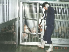 犬や猫「実験用払い下げ」を振り返る　2005年度まで生体譲渡