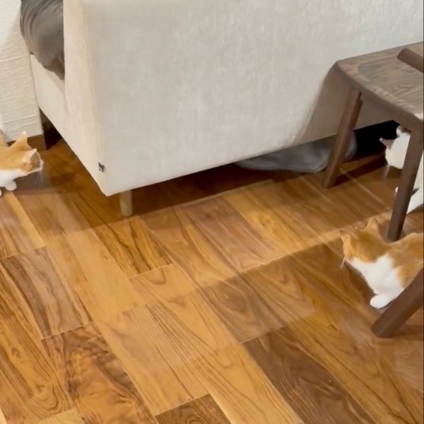 おもちゃを引きずってソファ下に隠れた乃愛ちゃん（画像提供：桃丸さん）