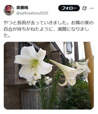 斉藤暁のインスタグラム@saitosatoru2020より